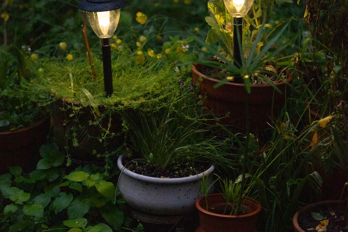 Boncy Solar Tuinverlichting, 5-pack (30 LED)